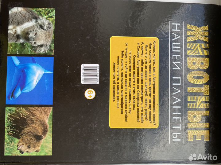 Животные нашей планеты