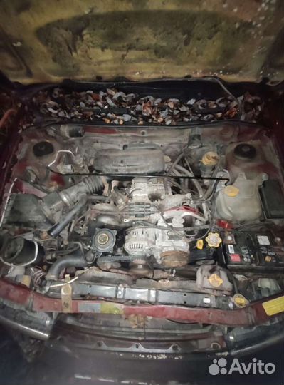 Subaru Legacy Субару Легаси Разбор