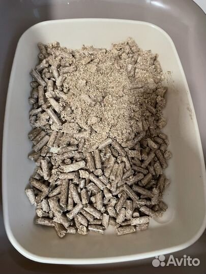 Лоток и наполнитель для кошек