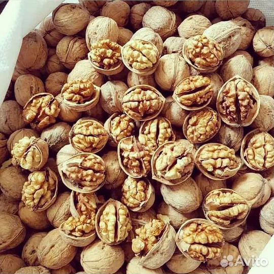 Грецкий Орех