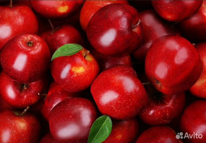 Упаковщик фруктов вахта с питанием, проживанием