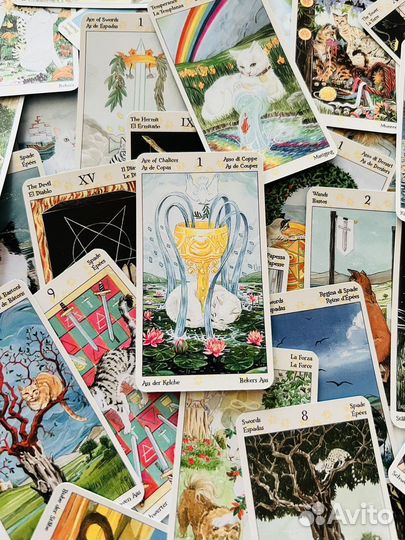 Расклад таро, Таролог taro