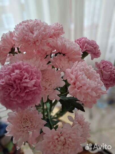 Женские вещи пакетом