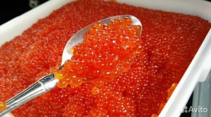 Красная икра оптом
