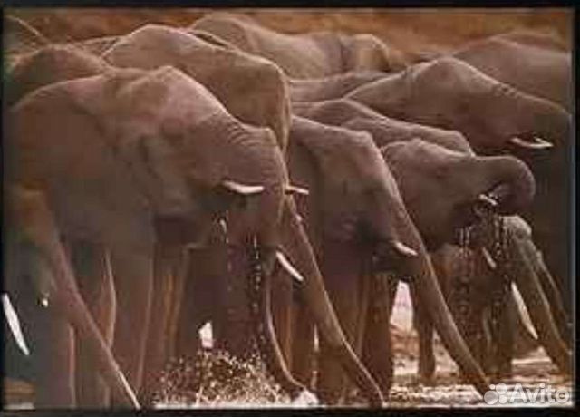 I K E A Новая Картина