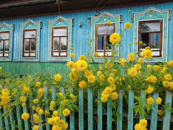 Дом 50 м² на участке 40 сот.