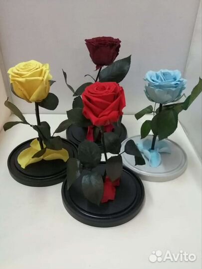 Цветы оптом