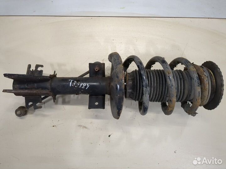 Амортизатор подвески Opel Movano 2010, 2011