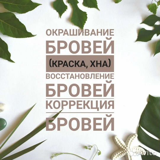 Мастер бровист