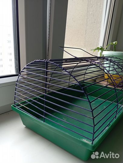 Клетка для хомяка бу