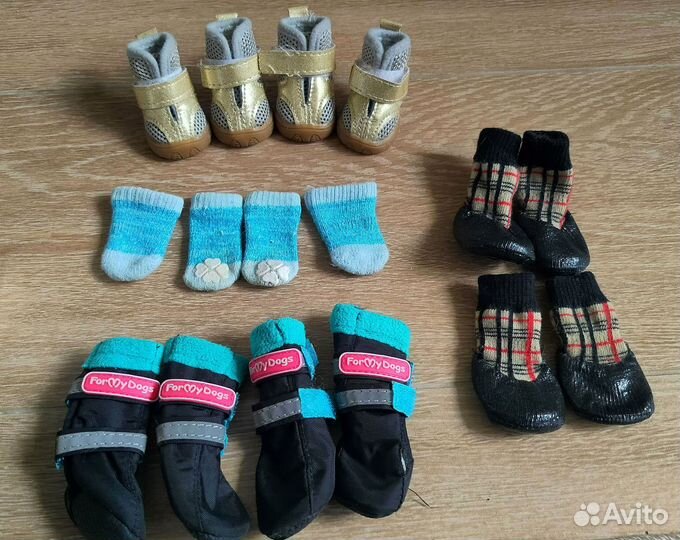 Курточка и обувь для собак мелких пород
