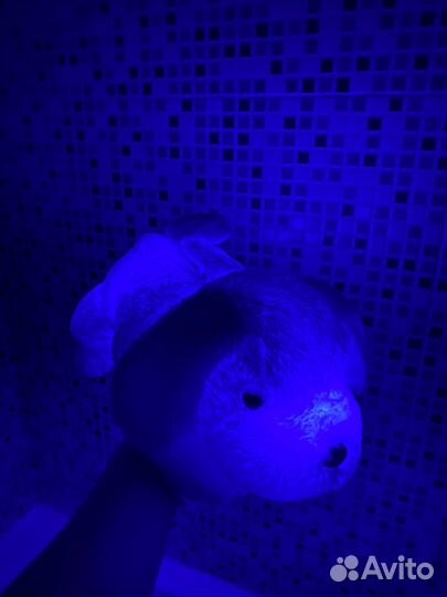 Собака-ночник мягкая антистресс