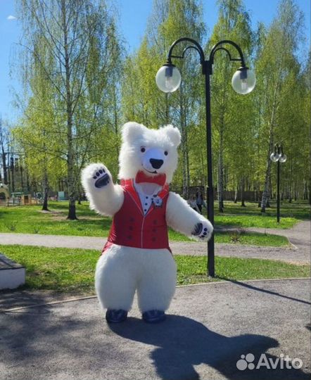 Мишка Марио Аниматор. Поздравление от мишки