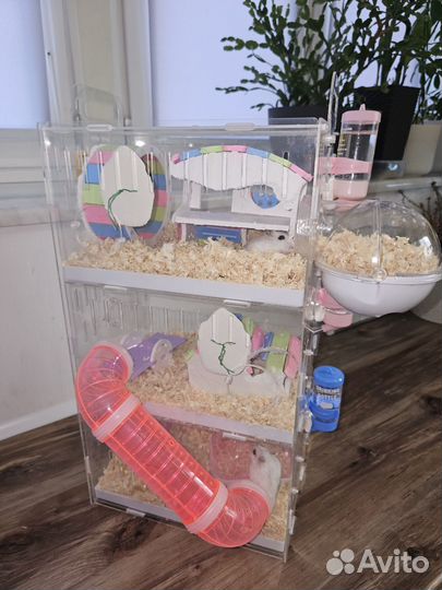 Клетка для грызунов и Джунгарики