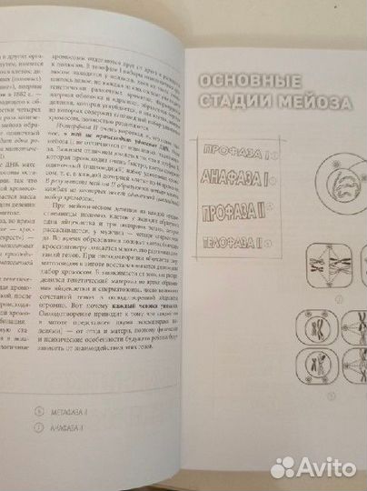 Анатомия атлас-раскраска Г. Л. Билич