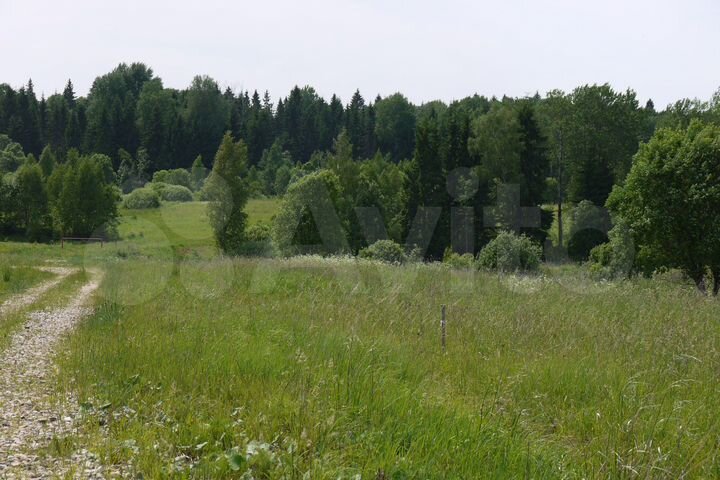 Участок 25 сот. (СНТ, ДНП)