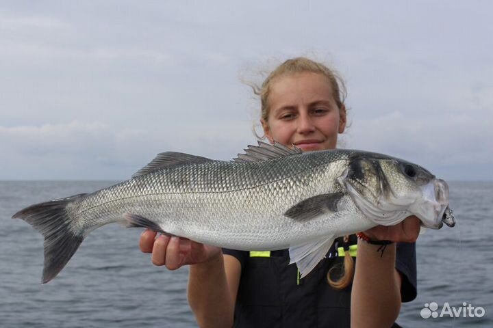 Аренда удочек и спиннингов для рыбалки