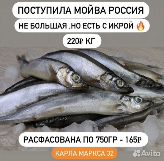 От мойвы до сёмги свежая рыба