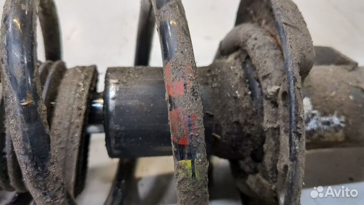 Амортизатор подвески Volkswagen Touran, 2010