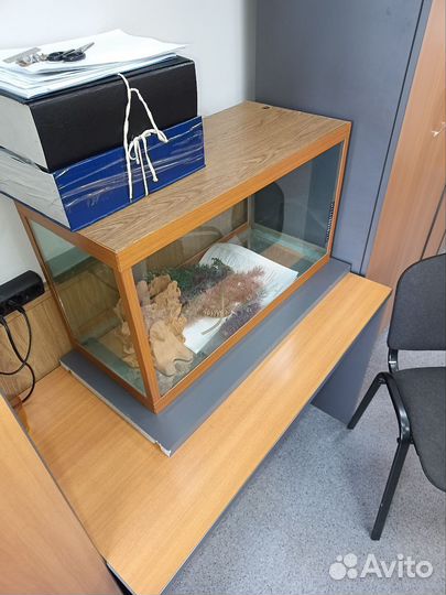 Аквариум, террариум