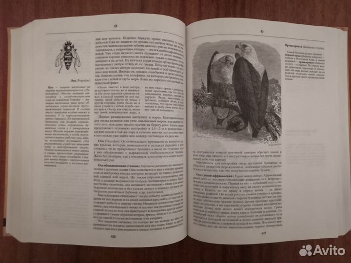 Книга. Биология. 