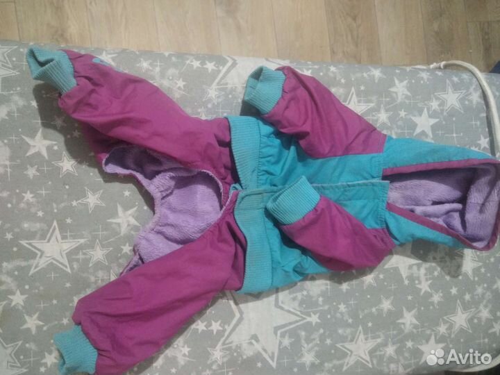 Комбинезон для маленькой собаки мальчик