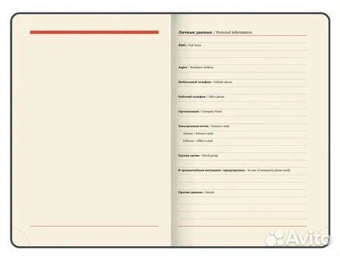 Ежедневник-планер датированный на 2023 год А4