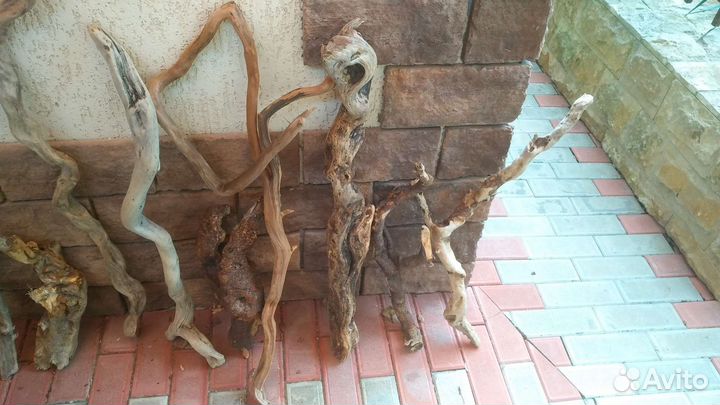 Коряги дрифтвуд