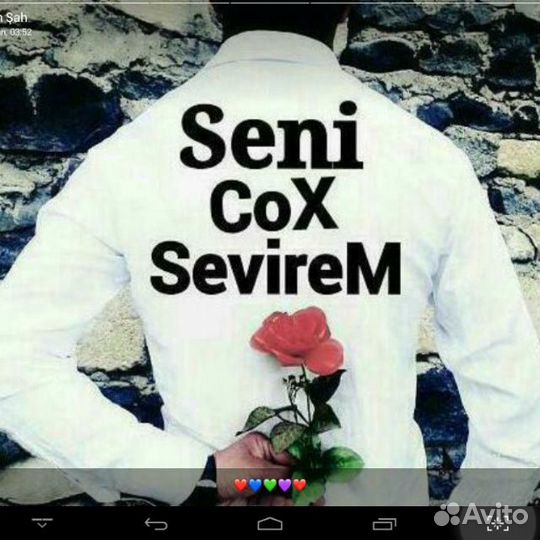 С/с Гете, Гейне, Шиллер на немецком