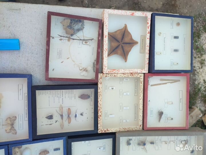 Наглядные пособия СССР