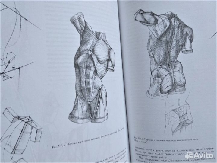 Основы учебного академического рисунка Ли книга
