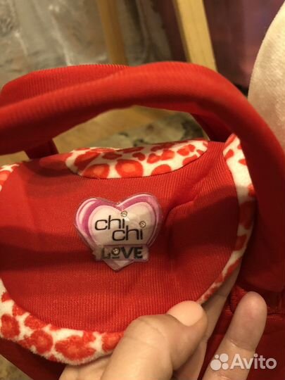 Собачка чичилав