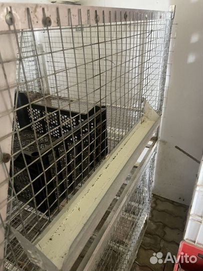 Клетка для бройлеров,перепелов и кроликов