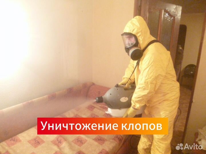 Уничтожение насекомых тараканов клопов