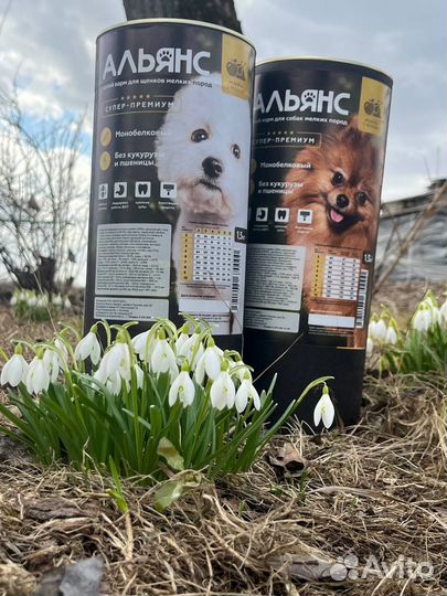 Альянс корм для собак мелких пород