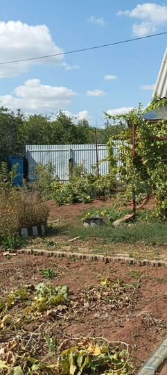 Дача 12 м² на участке 5 сот.