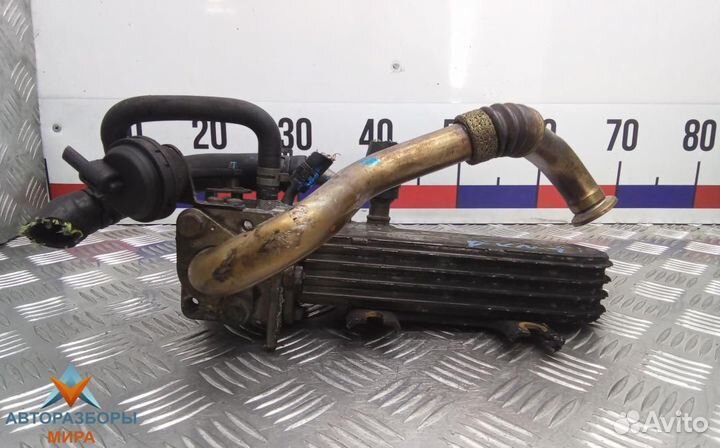 Охладитель EGR / Радиатор EGR Volkswagen Touareg