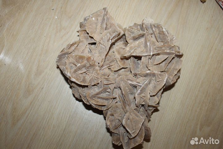 Коллекционный камень роза пустыни 30см