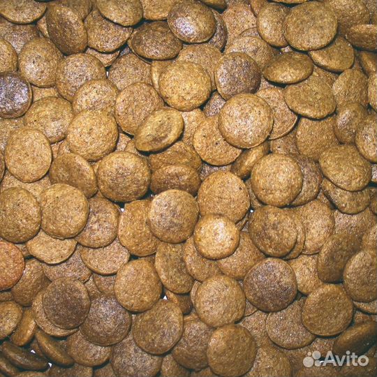 Корм для собак и кошек 