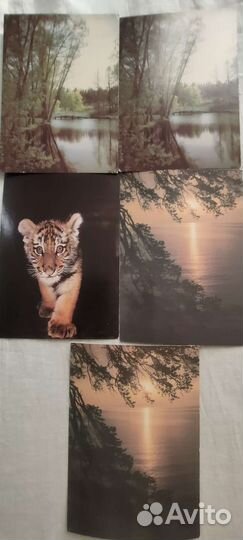 Открытки СССР новые