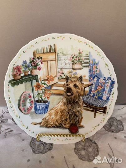 Тарелка Кен-терьер хочет поиграть Royal Albert Ltd