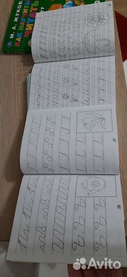 Азбука жукова