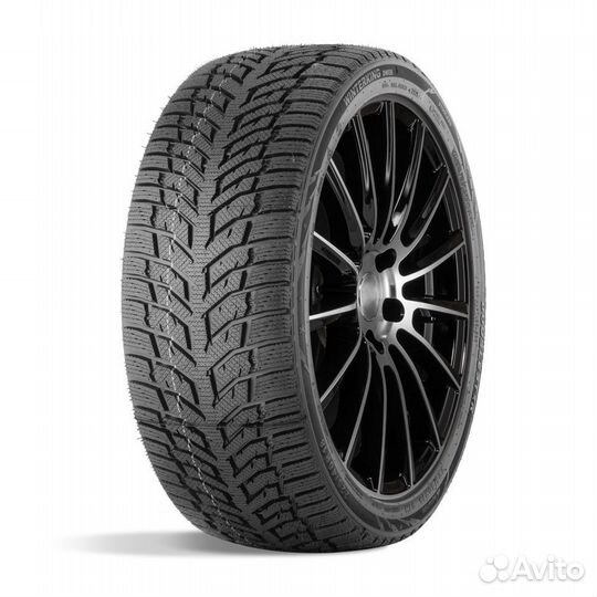 DoubleStar DW08 205/55 R16 T