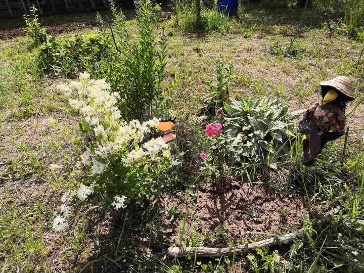 Участок 7 сот. (СНТ, ДНП)