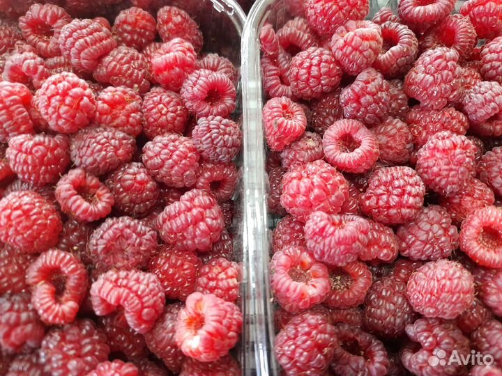 Домашняя консервация