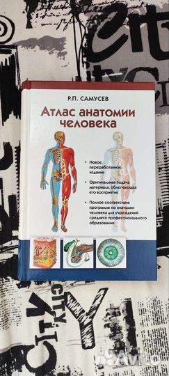 Атлас анатомии человека