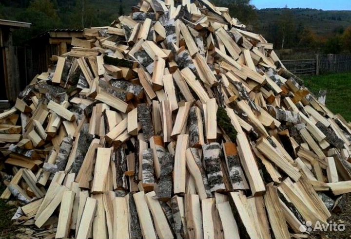 Дрова березка