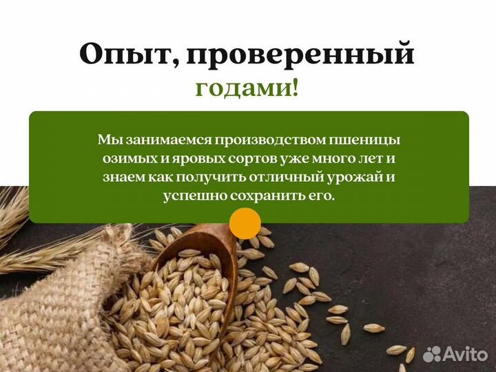 Отруби (кг)