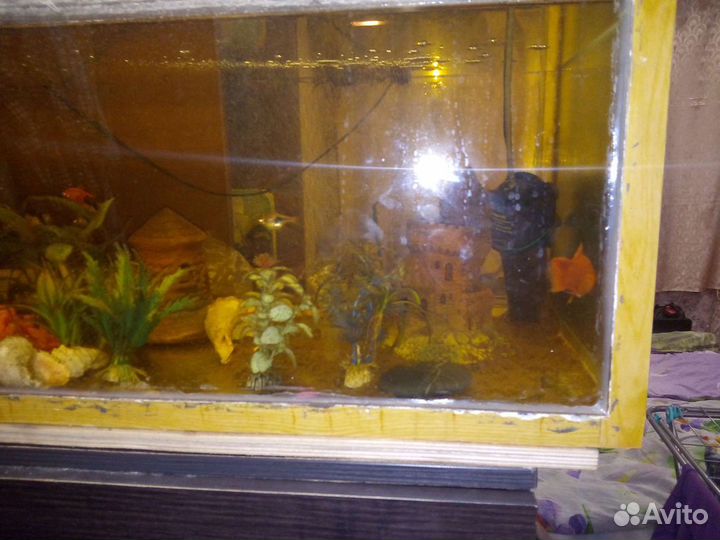Аквариум