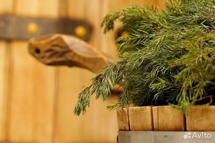 Веник кедровый, пихтовый, можжевельник